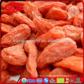 Las mejores bayas de goji bacche di goggi goji berries dried